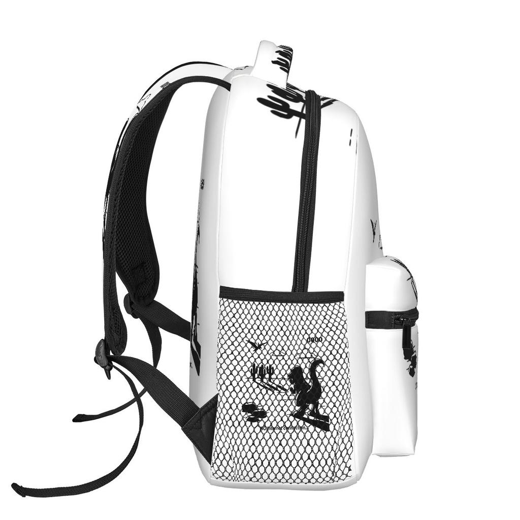 Funny T-Rex Dinosaur Print Student Backpack School Bag Hiking Travel Daypack for Boys Girls Fashion Bookbag Shoulder Bags