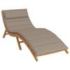 Sun Lounger Cushion Taupe 180x60x4 Cm Oxford Fabric