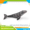 Ensemble de modèles en PVC d'animaux marins pour enfants avec des figures de cétacés réalistes pour le jeu éducatif
