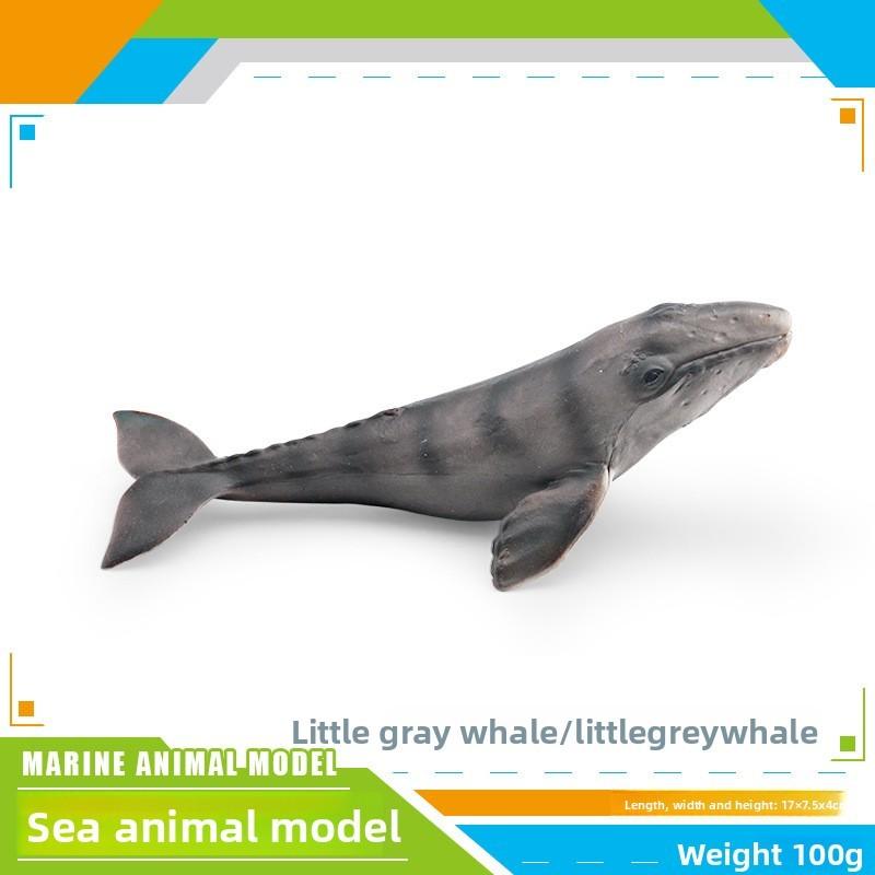 Ensemble de modèles en PVC d'animaux marins pour enfants avec des figures de cétacés réalistes pour le jeu éducatif
