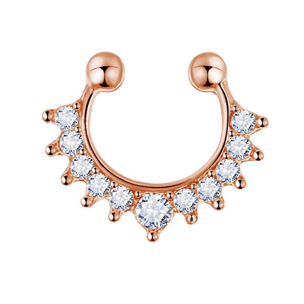 Ring Safe Luxury Nose Nail Fine Nose Nail Non Zirconia Nose Ring Stainless Steel Nose Nail Cartilage Earring Spiral Pierced Jewelry