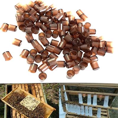 Instrumente pentru apicultura Brown Apicultura Cresterea Apicultură Cupă completă cu celule 240 Buc
