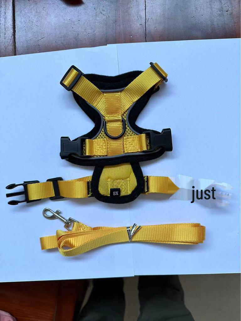 Adjustable Ultra-Thin Cat Harness with Anti-Breakaway Traction Rope for Walking 