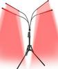 New Custom Floor Stand Lamp - Single/Double Head Red Light Therapy with Timer, 100 Lights