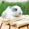 Productos para mascotas – Roedores