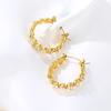 Elegant Pearl Zircon Earrings: Chic & High-End Stainless Steel Design for Women