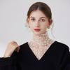Transparent Petal Statement Collar Elegant False Blouse Half Shirt Lace Fake False Collar  Office