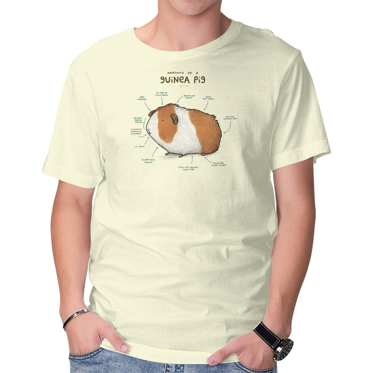 Unisex Crew Neck T-Shirt Anatomy of a Guinea Pig Graphic Short Sleeve Casual Tee XL