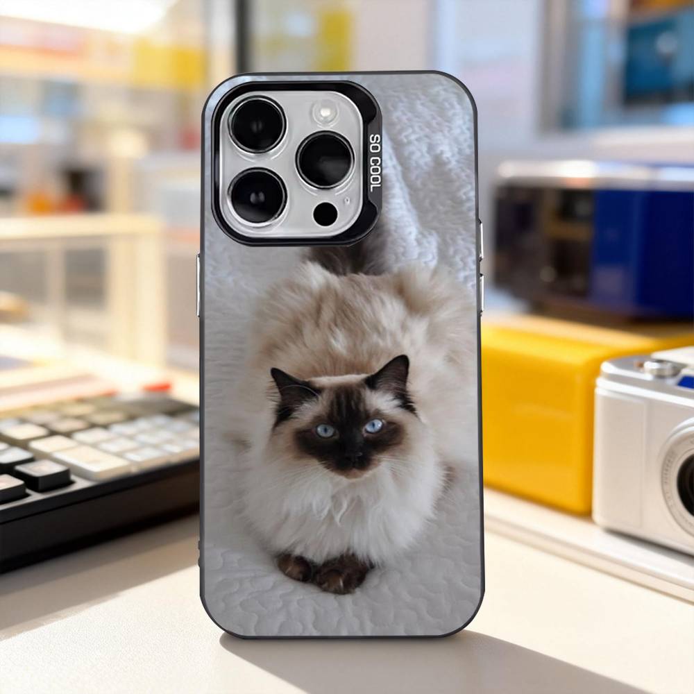 Funny Siamese Cats Cute For iPhone 11,12,13,14,15,16,17,Pro,Max,Plus,E,Air,Mini Phone Case IMD Matte Black