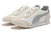 Puma Roma OG Nylon Metallic 'Whisper White Silver'