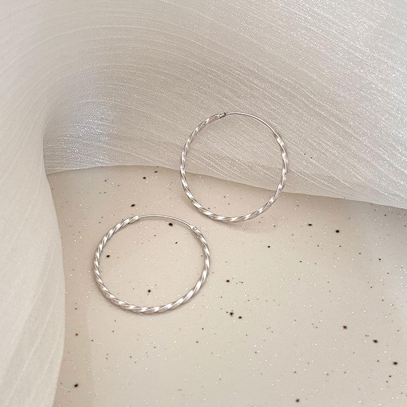 Twist Earrings Large Ear Buckle Style Earrings Cold Style Simple Design Earrings for Women