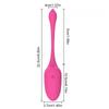 APP Control G-spot Panty Vibrator Long Distance Bluetooth Wearable Egg Adult Vagina Sex Toys for Women Couple Female Toy