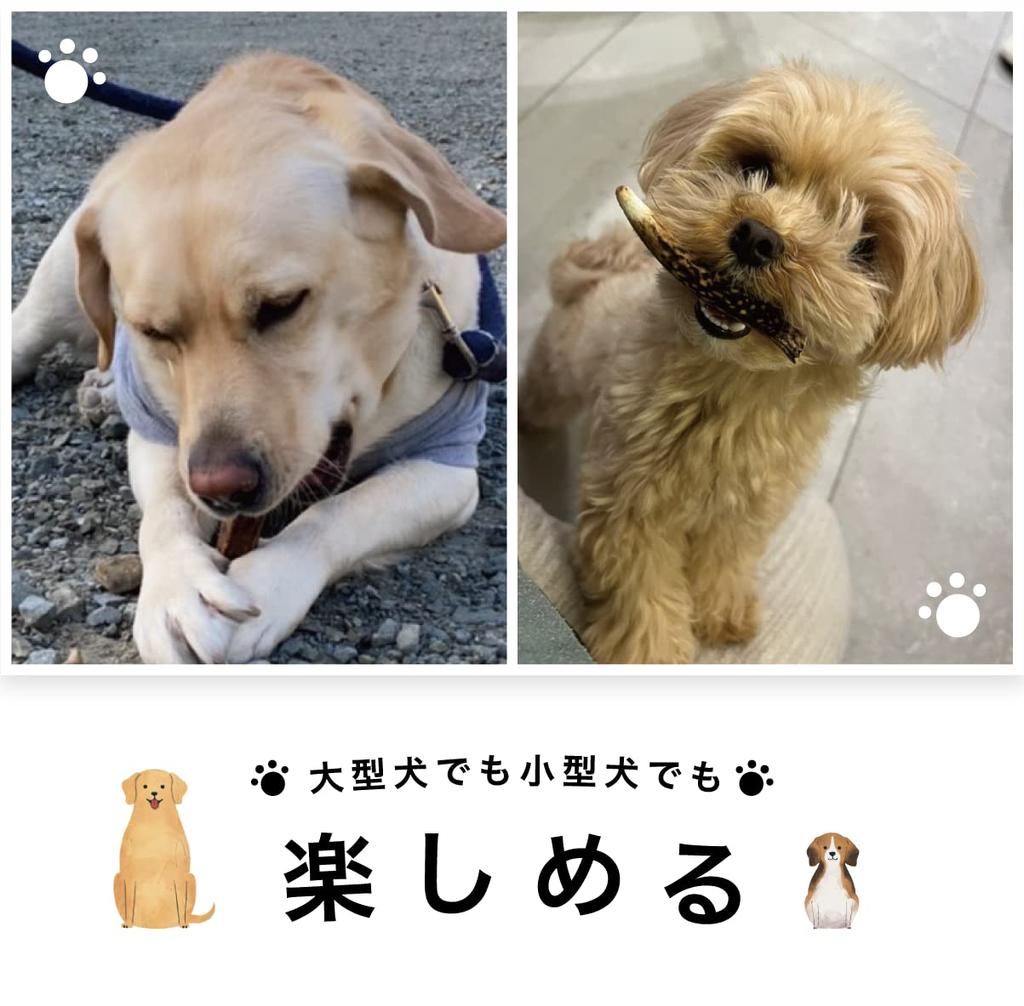 Pet Food Research Institute Deer Small Medium Large Heat Dog Chew Domestic Deer Toothpaste Dental Half Split Set of 2 for Large [Domestic,