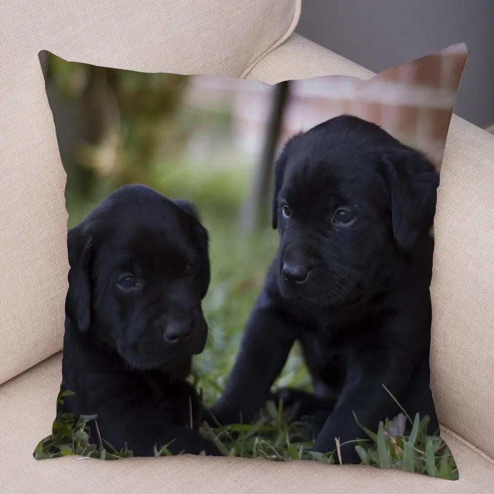 Office Living Room Home Pillowcase Pet Labrador Pattern Pillowcase Car Ornaments