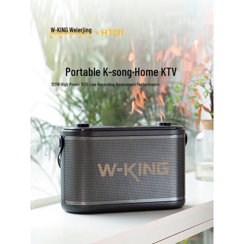 W-King H10II Portable HIFI Karaoke Bluetooth Speaker CN Plug (adapter Included)