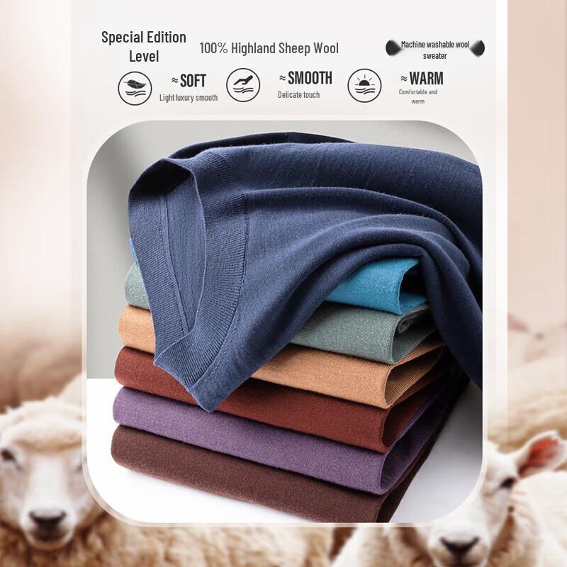 Shanshan Men's 100% Merino Wool Crew Neck Sweater