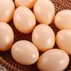 Painting Simulation Hen Breeding Poultry Educational Toy Fake Eggs Artificial Eggs Easter  Egg