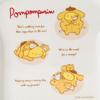 Sanrio Pompompurin Plate Bread-shaped (nighttime)