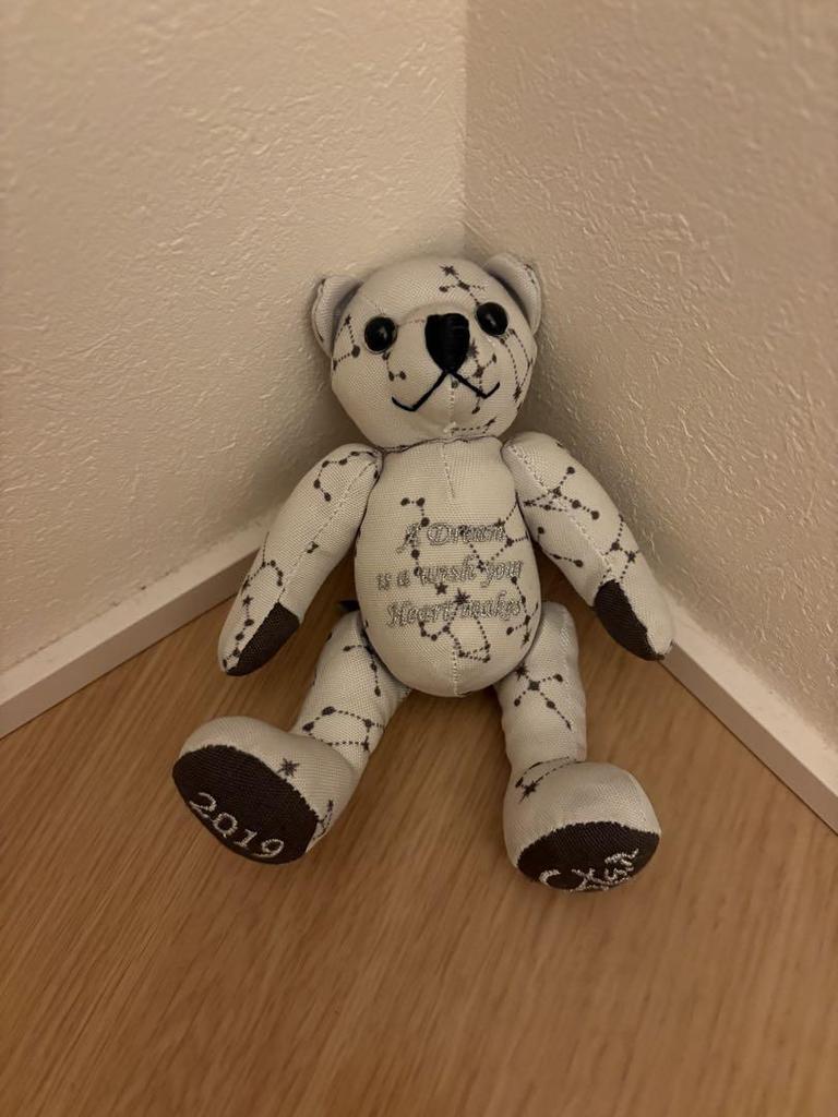 [USED] teddy bear