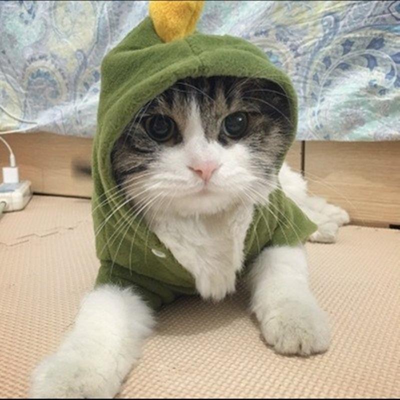 Pet Cat Clothes for Costume Pajamas Party Dressing Up Dog Clothes Coat Hoodies Clothes