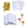 6-inch Plastic Cake Pop Sticks and Bags Kit, White Lollipop Sticks for Candy, Chocolate, Cakepop Accesories Including 100 Sticks, 100 Bags, 100 Ties