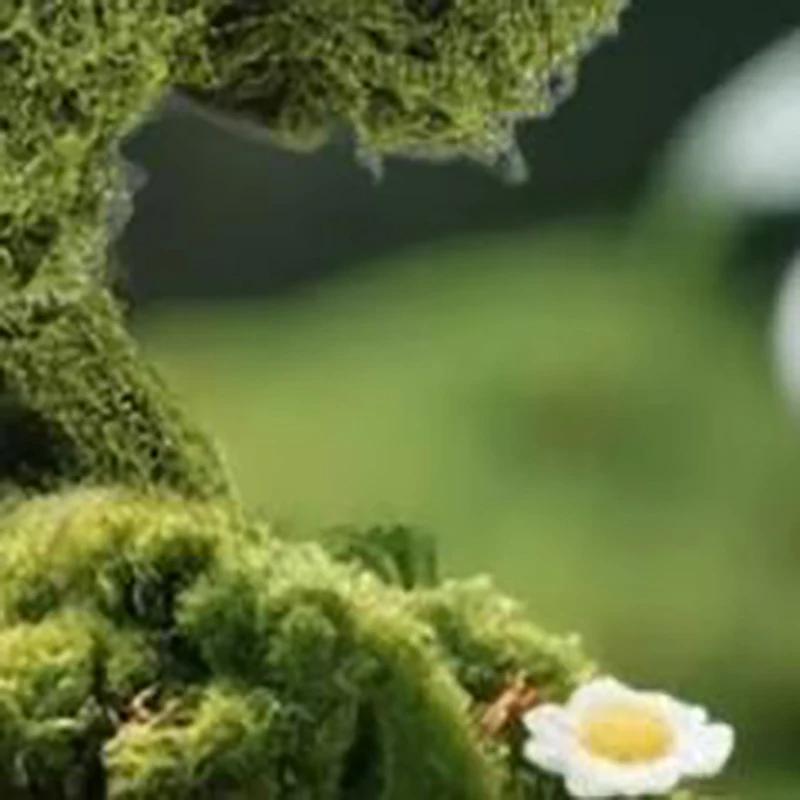 

Artificial Moss Carpet DIY Miniature Landscape Decor For Fairy -Garden Plant Pot Artificial -Green Plants -Eternal Life Moss DIY China Mainland
