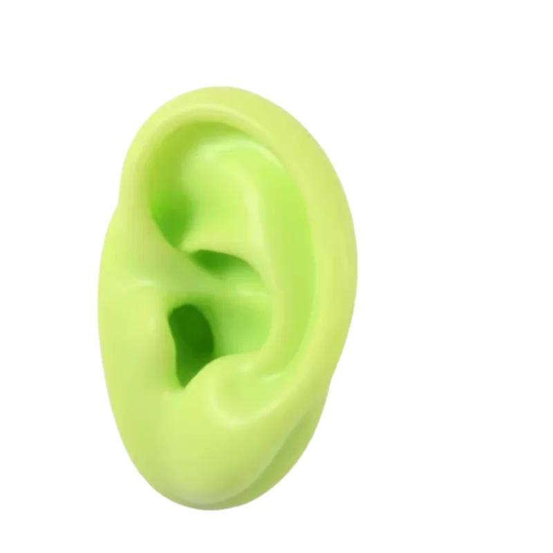 5D Silicone Simulated Artificial Ear Model Ear Stud Piercing Piercing Piercing Teaching Hearing Aid Acupuncture Practice Prop