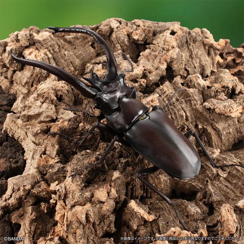 Genuine Gacha Scale Model Biological Cognitive Model Antler Beetle Simulated Moving Insect Action Figure Toys