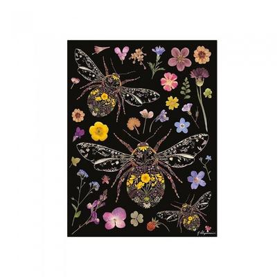 Διακόσμηση σπιτιού – Πίνακες ζωγραφικής και αφίσες