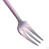 Stainless Steel Dinner Fork for Fruit / Salad - Kitchen Cutlery, 5.24 inch