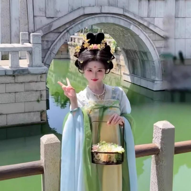Tang Dynasty Style Hanfu Set Women Embroidered Qi Xiong Ruqun With Wide Sleeves Flowy Outfit