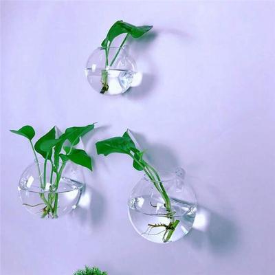 ABBP-Self-Watering Hydroponic Planter-2/6 Pack Wall Mounted Glass Terrarium Handmade Round Vase For Home Office Decor