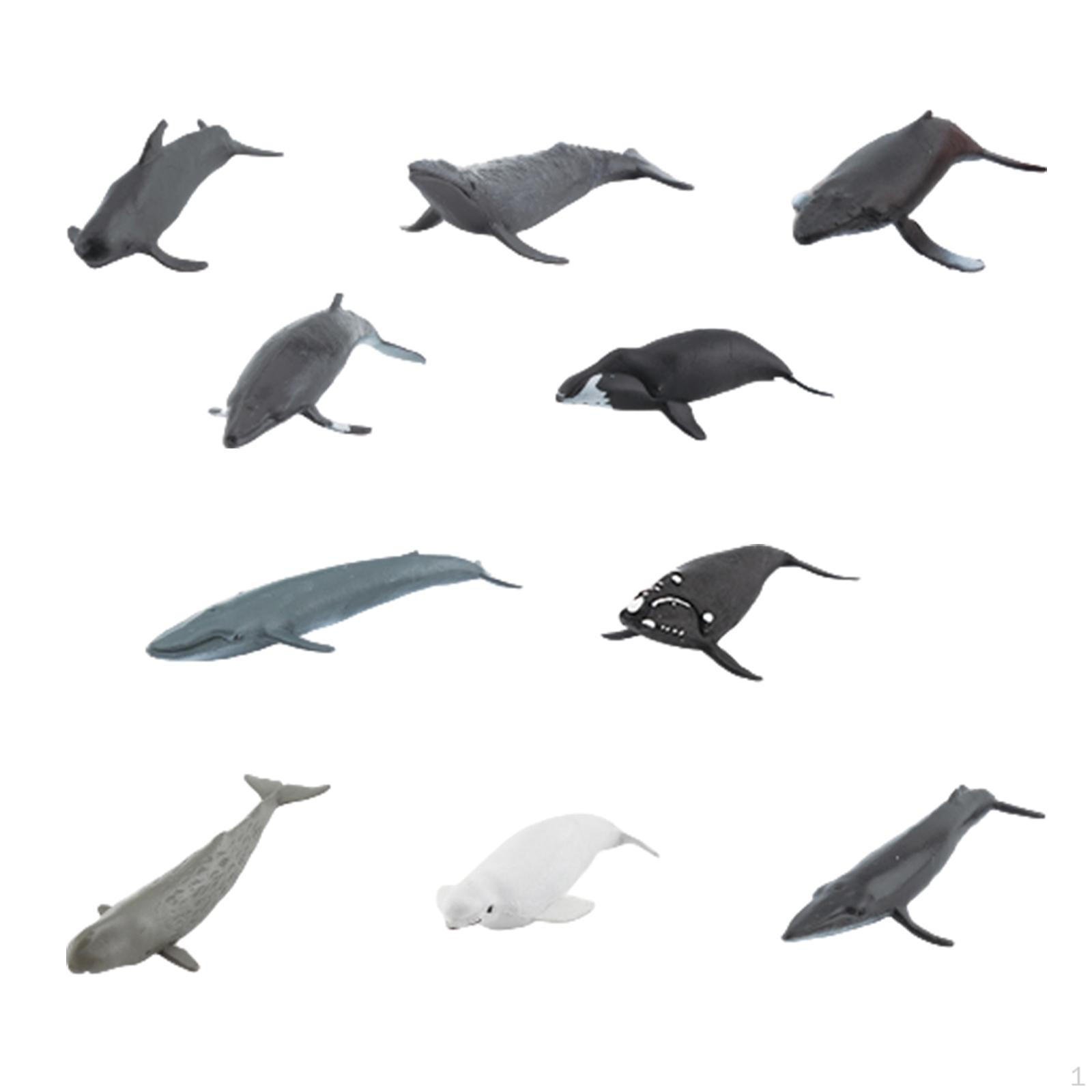 

10 Pieces Lifelike Animal Figurines Collection Toys Small Animals Figures Educational for Party Whale