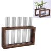 5 Test Tube Plant Terrarium Transparent Observe Growth Status Water Plant Holder with Wooden Stand for Herbs