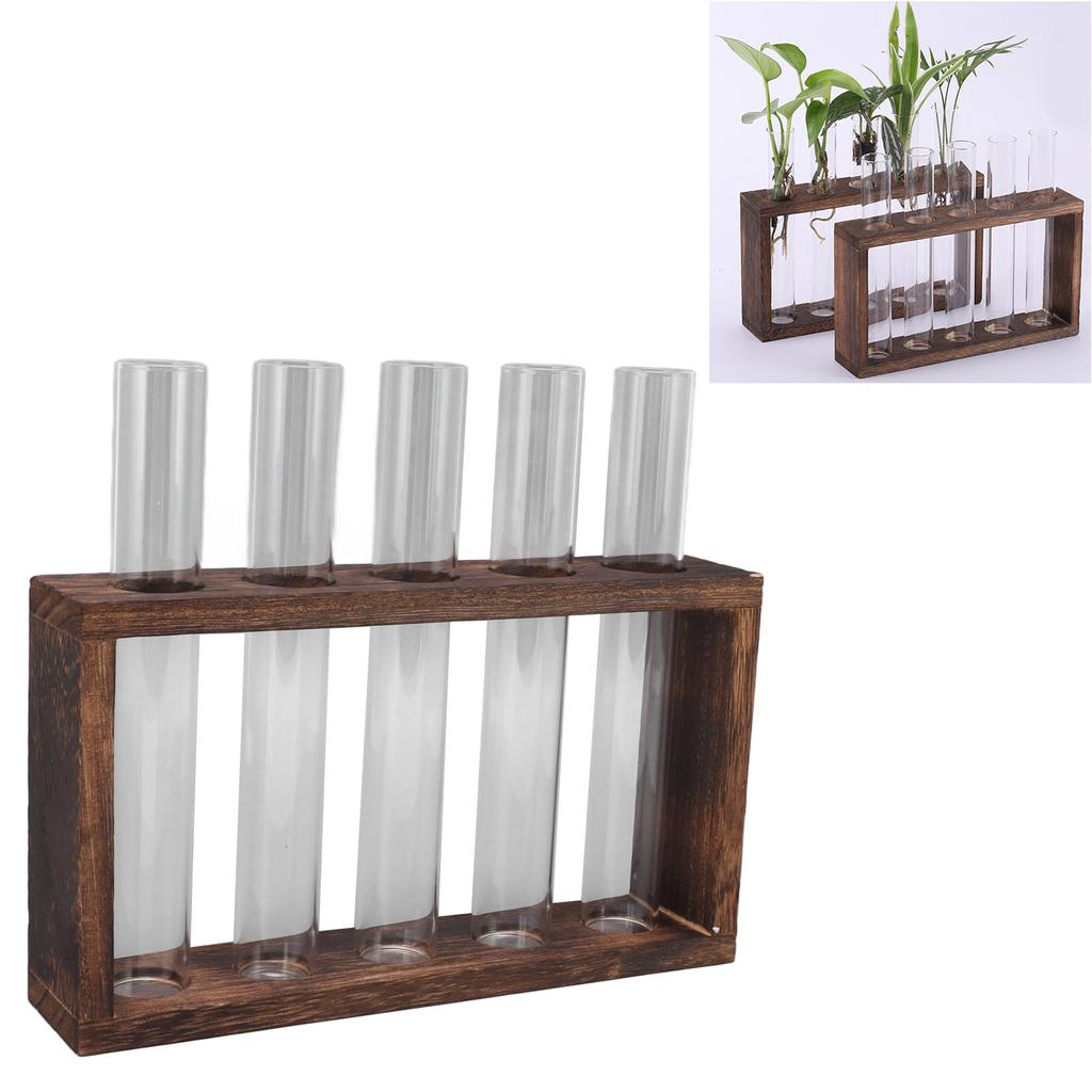 5 Test Tube Plant Terrarium Transparent Observe Growth Status Water Plant Holder with Wooden Stand for Herbs
