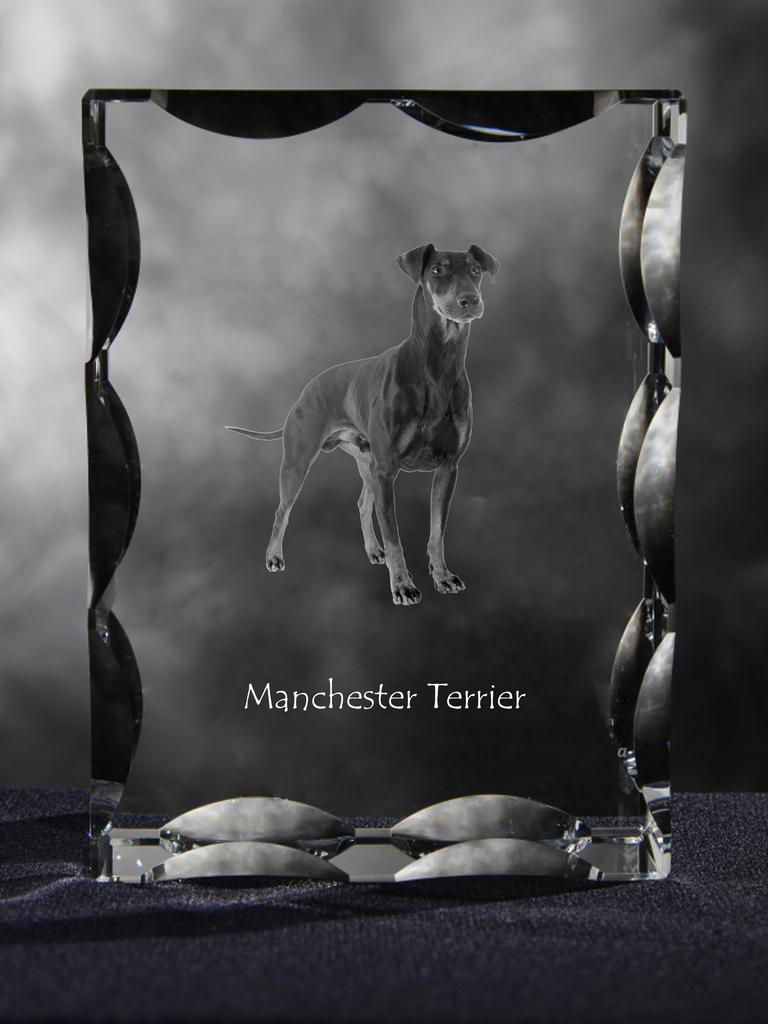 Manchester Terrier - Crystal with a Picture of a Dog, Glass Statuette with a Picture, Unique Frame with a Picture from Art-Dog Brand
