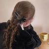 Hair Ornament Styling Aid Hairpin Duckbill Clip Grab Clip Duckbill Clamp Hairpin  Hair Accessories