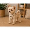 Dog Harness - EDEN - Lara Step&Go - Beige - XS 28-30/30-32 Cm - Braided Cotton &; Imitation Leather