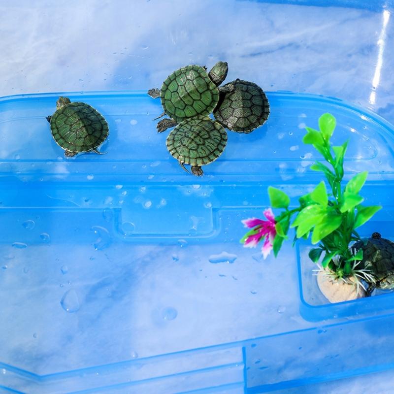 Turtle Tank Turtle Feeding Box with Basking Platform Multicolors Habitat Breeding Tool Reptiles Multifunctional Area
