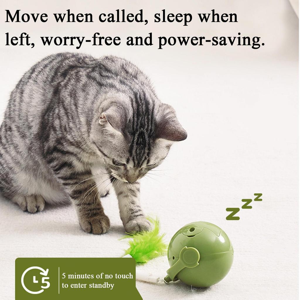 Interactive Cat Ball Interactive Obstacle Avoidance Exercise Toy Kitten Active Rolling Ball With Feathers For Small Cats Pets