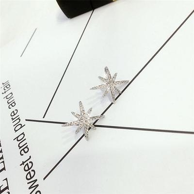 Exquisite Zirkon Schneeflocke Sternanis Stern Kreative Süße 925 Sterling Silber Mode Weibliche Stud Ohrringe SEA536