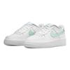 Nike Air Force 1 Low Mint Swoosh GS Sneakers CT3839-105