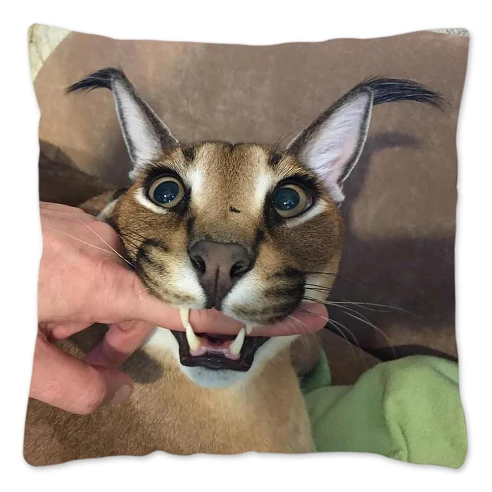 Capa de Almofada Meme Fofo Floppa 40x40 Decoração de Casa Dakimakura Engraçada Gato Caracal Capa de Almofada para Sala de Estar Housse De Coussin