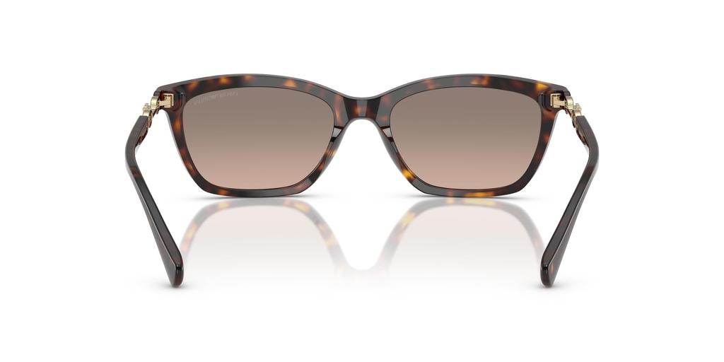 Sonnenbrille 0EA4238F SHINY HAVANA 54 [Emporio Armani]