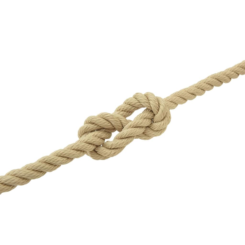 Boat Rope 25 m 1 Natural PP