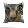 Funny Cat Meme Pillow Case Pillow Case Living Room Sofa Cushion Cover Suitable For Home Bedroom Room Decoration