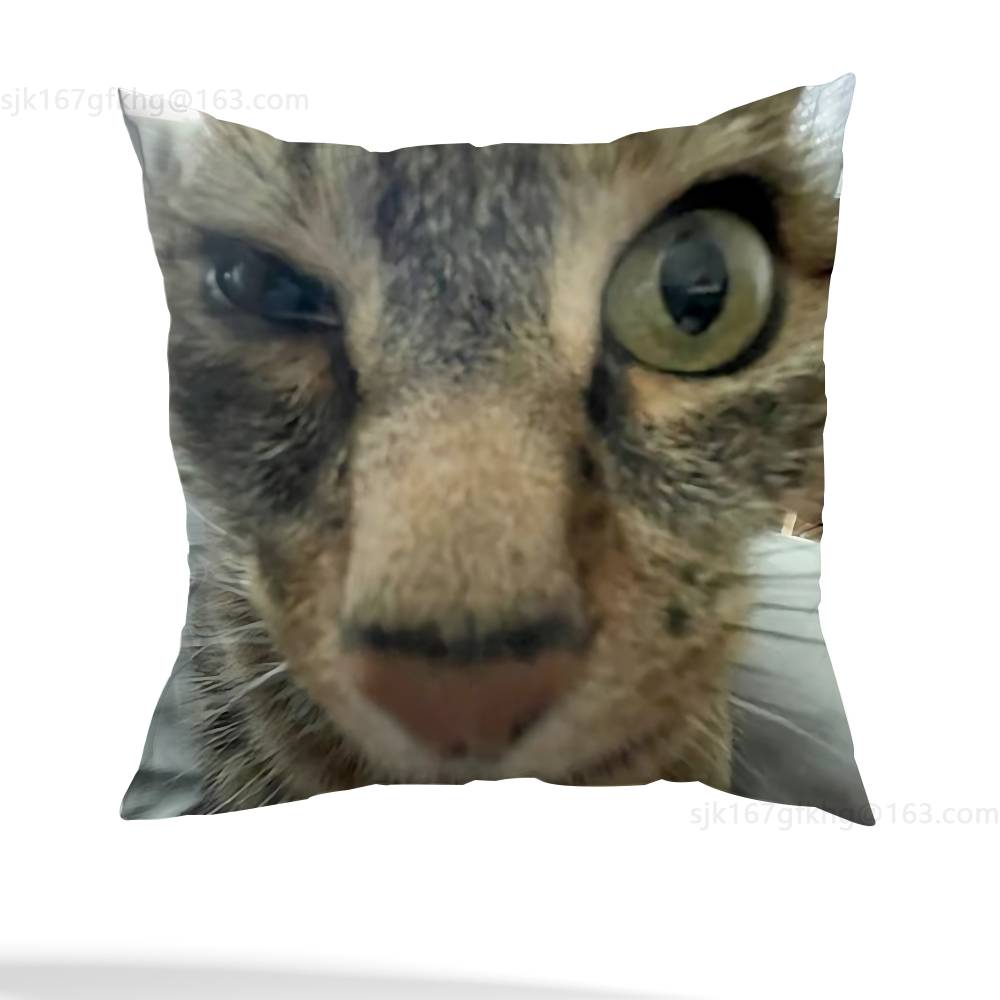 Funny Cat Meme Pillow Case Pillow Case Living Room Sofa Cushion Cover Suitable For Home Bedroom Room Decoration