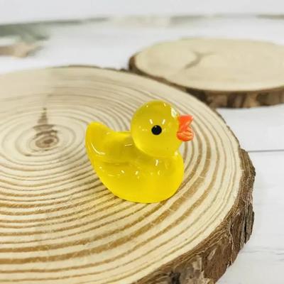 Deko & Wohnaccessoires – Dekorative Terrarien