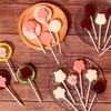 1Pc Silicone Lolly Mold Set With 12Pcs Lolly Sucker Sticks Candy Mold Sucker Molds And Chocolate Hard Candy Mold