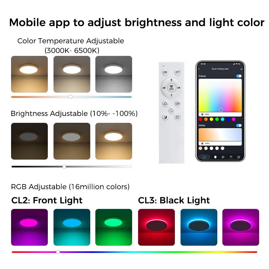 Smart Control Led Colorful Ceiling Light for Living Room Dining Room Decorative Excellent Atmosphere Creater Lamp